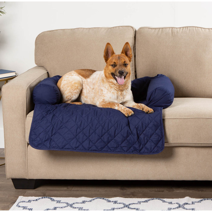 Red Barrel Studio® Aolany Bolster Pet Sofa Slipcover & Reviews Wayfair